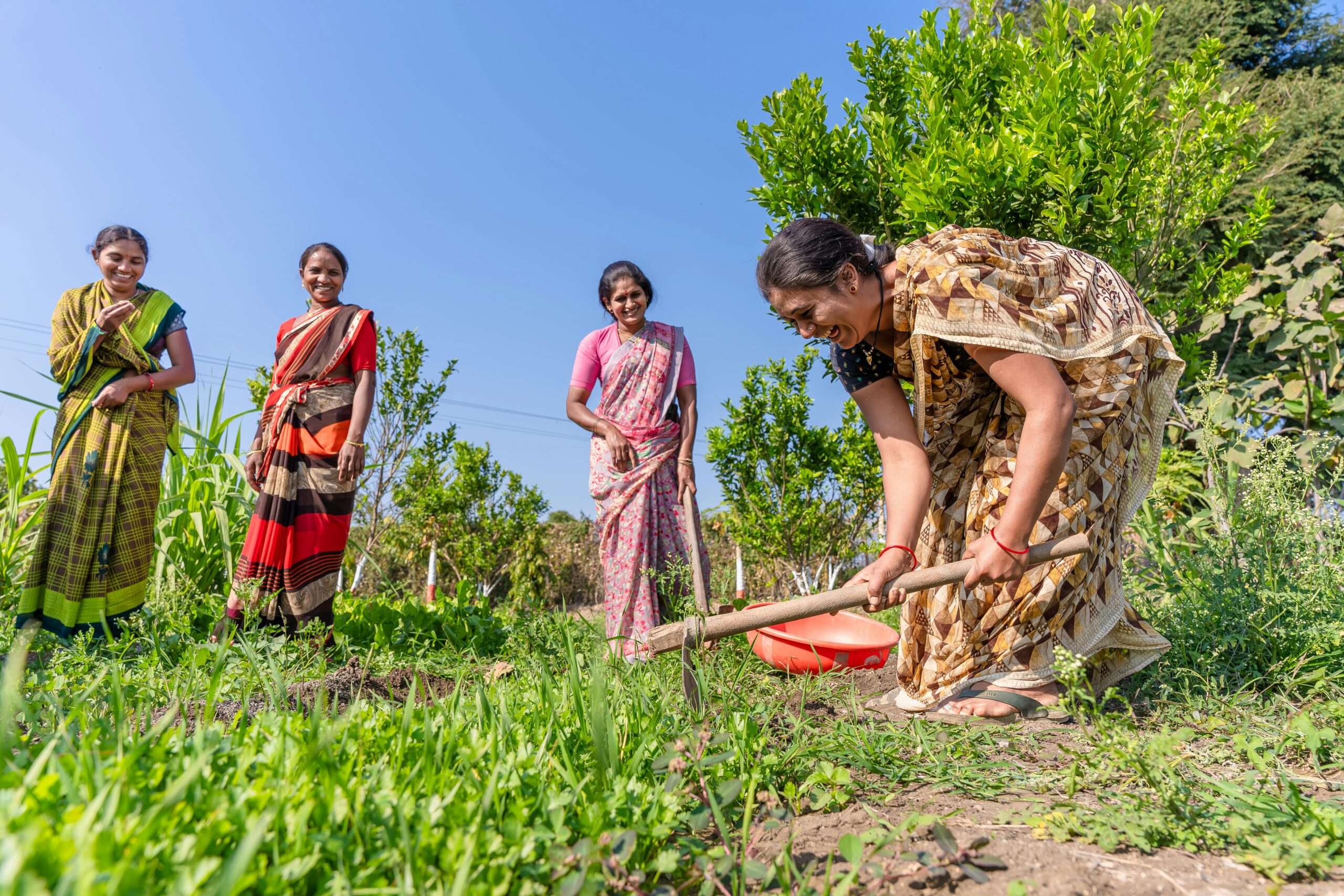 Farmers in India